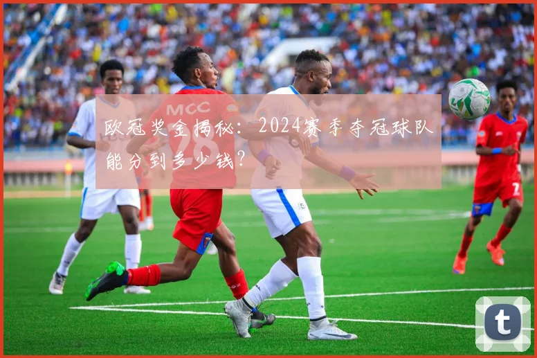 欧冠奖金揭秘：2024赛季夺冠球队能分到多少钱？