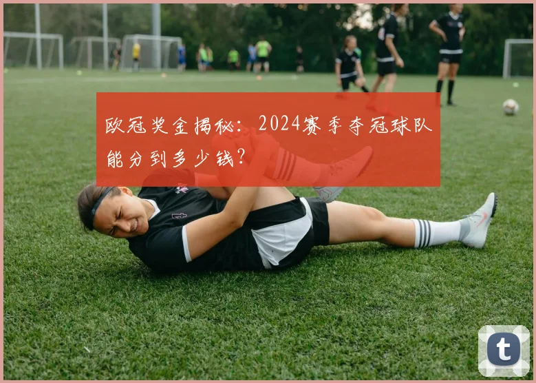 欧冠奖金揭秘：2024赛季夺冠球队能分到多少钱？