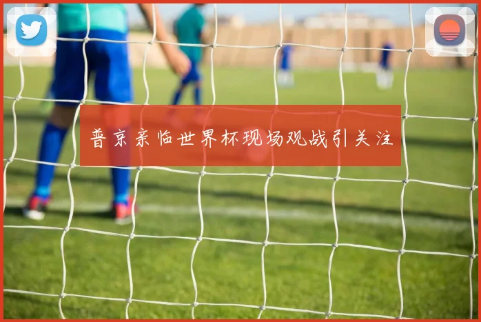 普京亲临世界杯现场观战引关注
