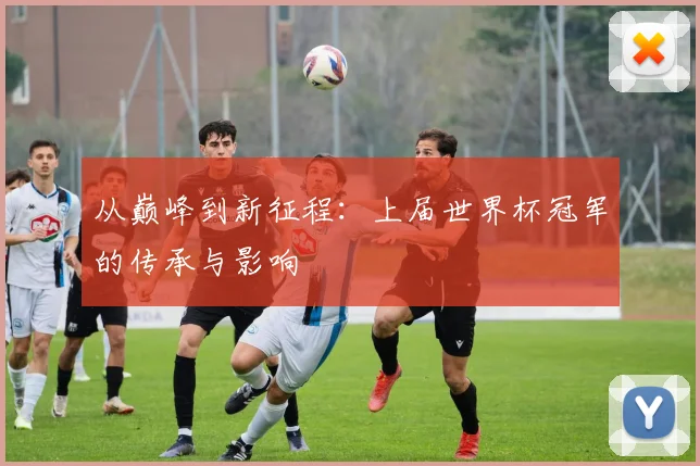从巅峰到新征程：上届世界杯冠军的传承与影响