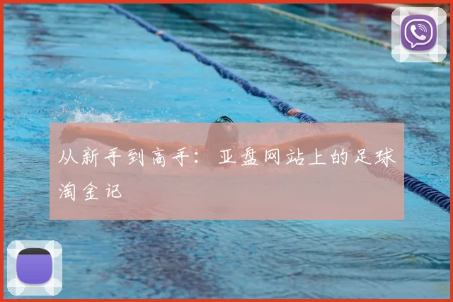 从新手到高手:亚盘网站上的足球淘金记