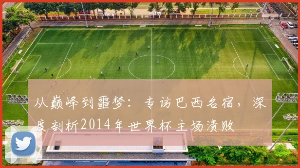 从巅峰到噩梦：专访巴西名宿，深度剖析2014年世界杯主场溃败