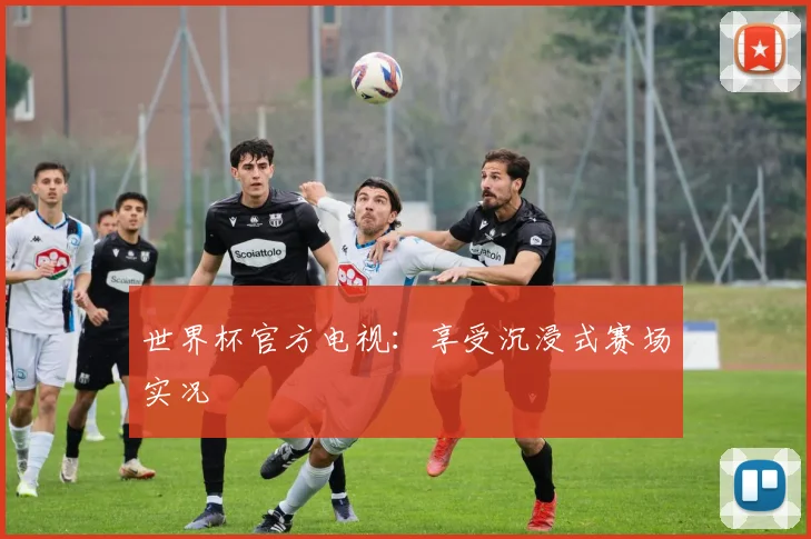世界杯官方电视：享受沉浸式赛场实况