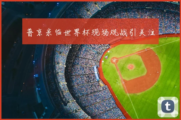普京亲临世界杯现场观战引关注
