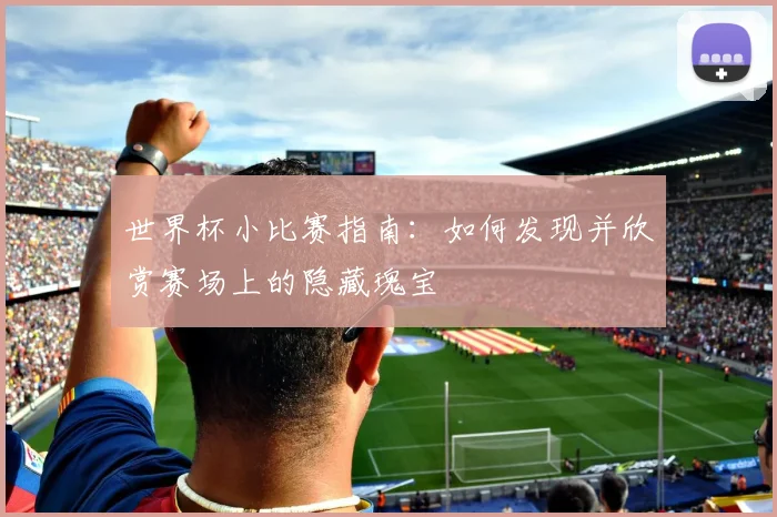 世界杯小比赛指南：如何发现并欣赏赛场上的隐藏瑰宝