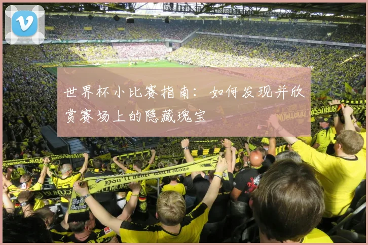 世界杯小比赛指南：如何发现并欣赏赛场上的隐藏瑰宝