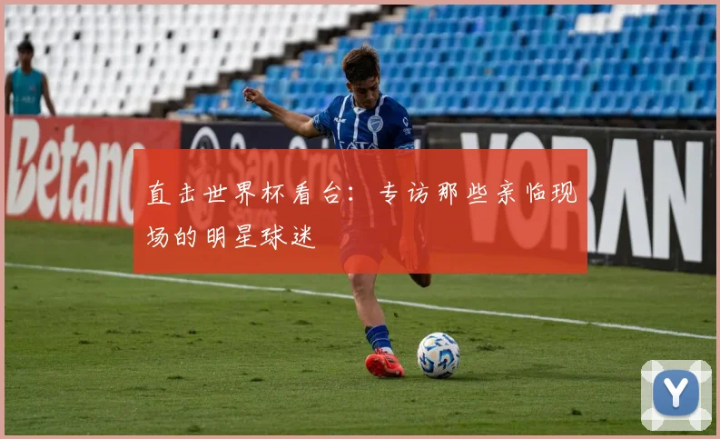 直击世界杯看台：专访那些亲临现场的明星球迷