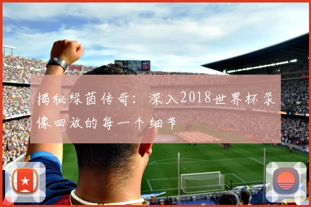 揭秘绿茵传奇：深入2018世界杯录像回放的每一个细节