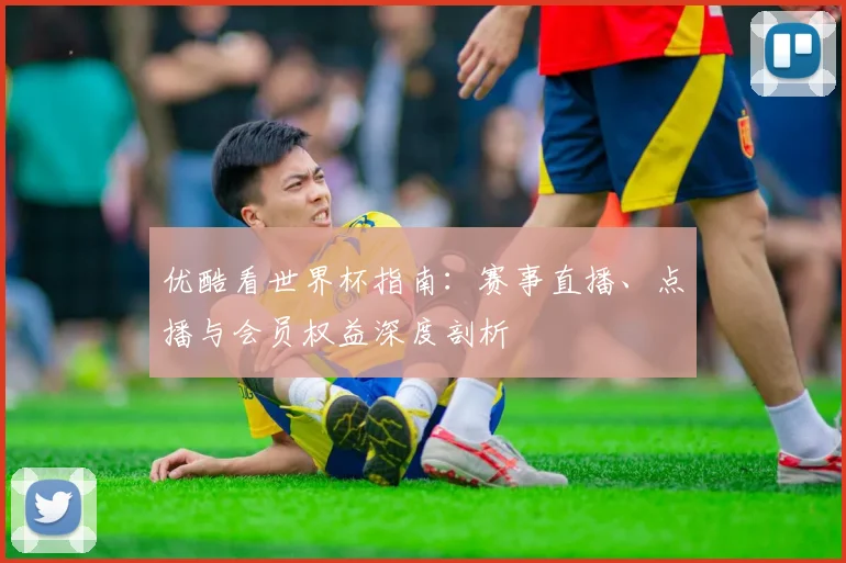 优酷看世界杯指南：赛事直播、点播与会员权益深度剖析